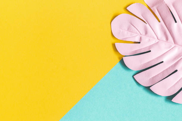 istock Summer composition. Tropical palm leaf on colorful background. Summer concept. Flat lay, top view, copy space 1142358999
