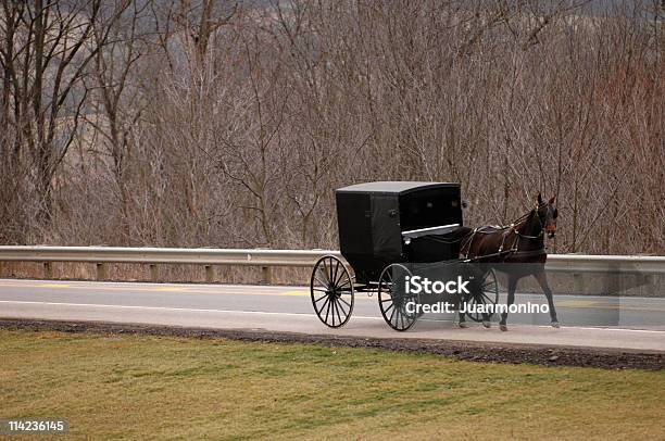 Amish Cavallo E Buggy - Fotografie stock e altre immagini di Ambientazione esterna - Ambientazione esterna, Amish, Berlino - Germania