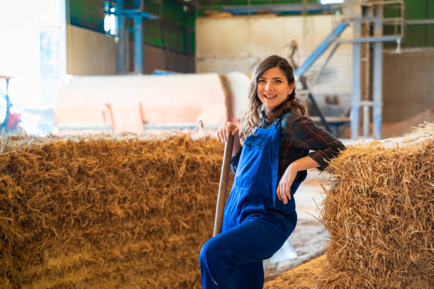 agricoltori che lavorano con fieno in fienile - hay wheat bale stacking foto e immagini stock