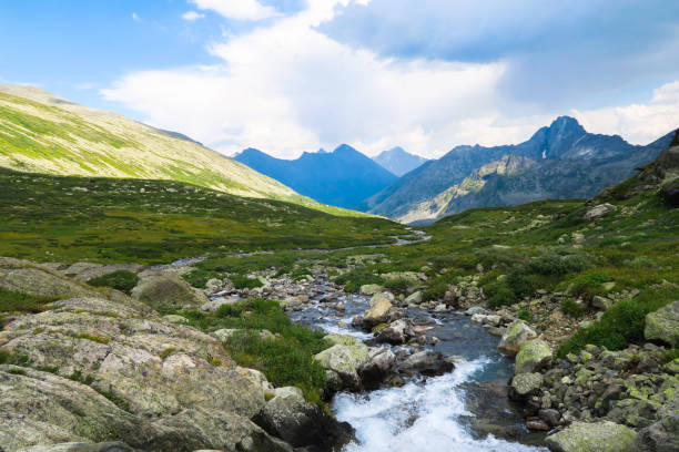 Mountain flowing stream picturesque view. Altai Mountains, Russia stock photo