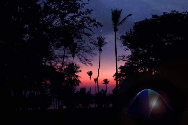 Camping on the coconut beach with million stars galaxy , shadow of a woman in the tents from morning sun.At ang thong island