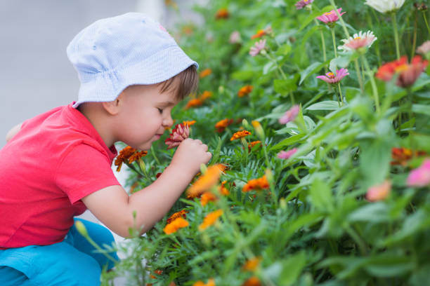 der kleine junge riecht die blumen im garten - baby toddler child flower stock-fotos und bilder