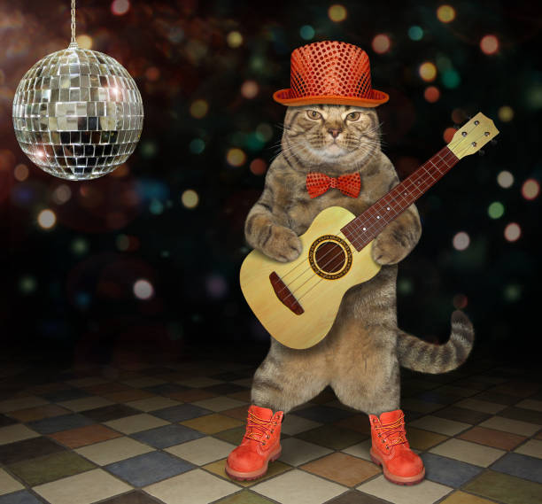 istock Cat plays the guitar in a club 2 1142369698