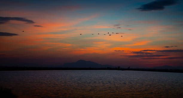 istock Salt dams in sunset, Spain, and flying birds 1142370174