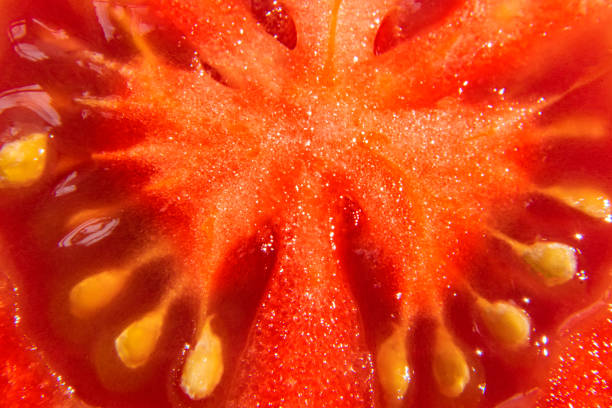 istock macro photo of fresh red cut tomato texture e 1142371851