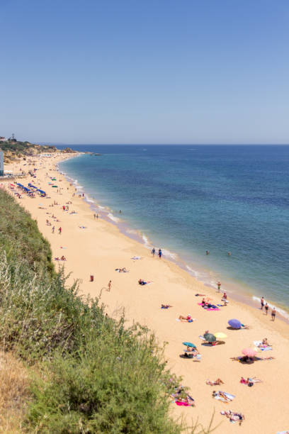 istock Beach of Albufeira in Algarve (Portugal) 1142378101