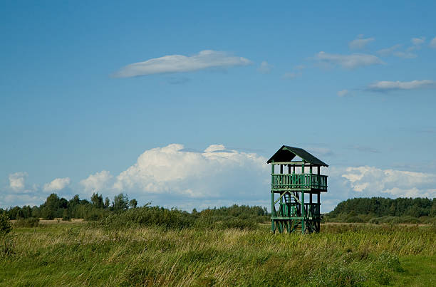istock Birdwatchers wooden tower 114237891