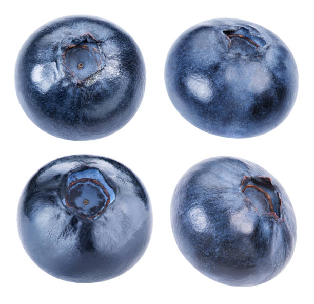istock Ripe Blueberry isolated 1142379304
