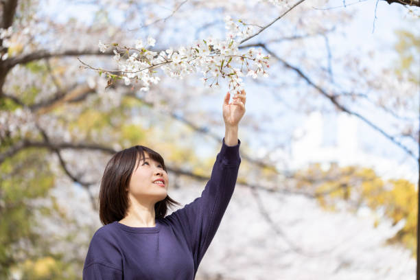 istock Woman who admires cherry blossoms 1142380688
