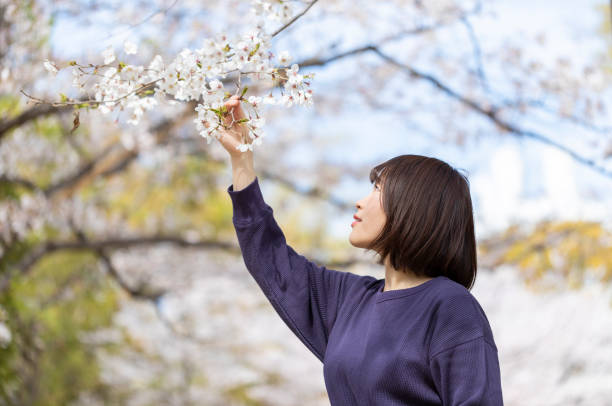 istock Woman who admires cherry blossoms 1142380727