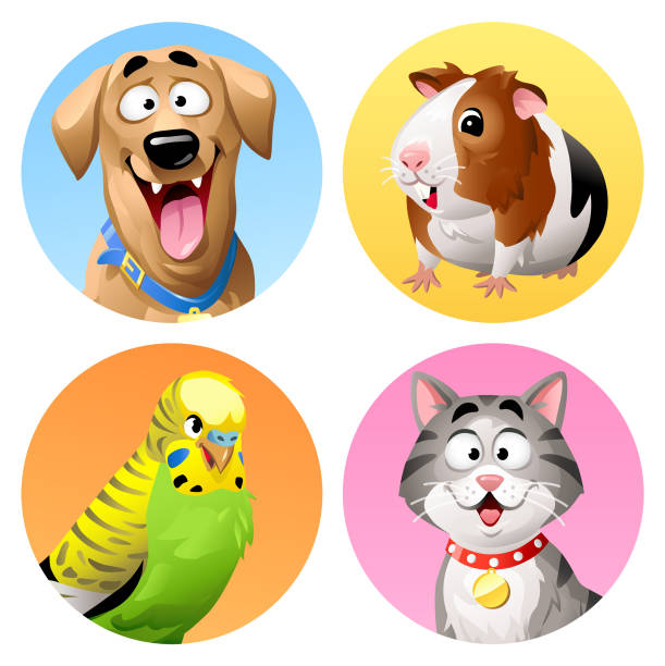 pet icons-katze, hund, budgie und guinea pig - golden retriever retriever white background isolated stock-grafiken, -clipart, -cartoons und -symbole