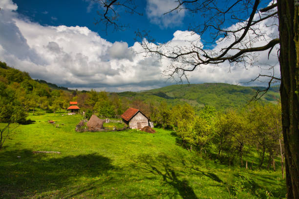 istock Carpatian livestock farms 1142382857