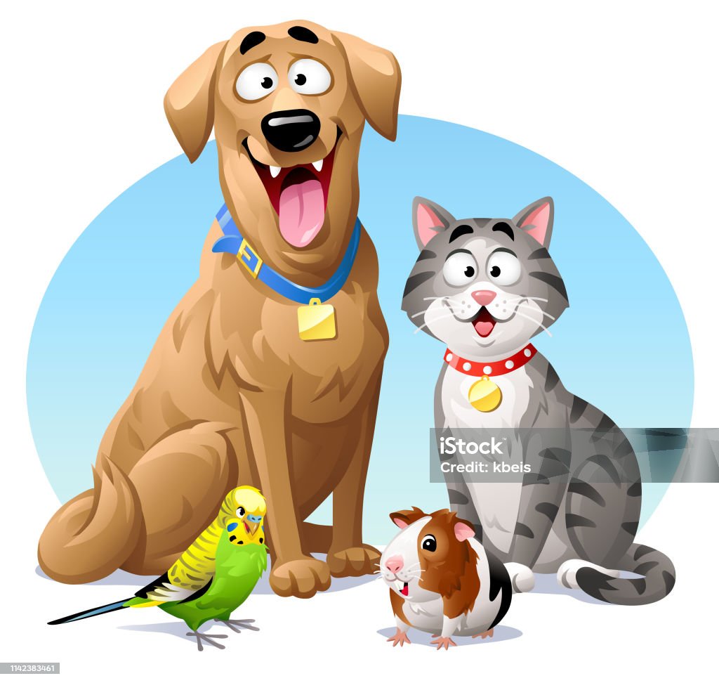 Pets- Cat, Dog, Budgie And Guinea Pig Vector illustration of a cheerful dog, a gray striped cat, a green budgie and a guinea pig, sitting next to each other, looking at the camera. Concept for pets, domestic animals, veterinarians and pet shops. Pets stock vector