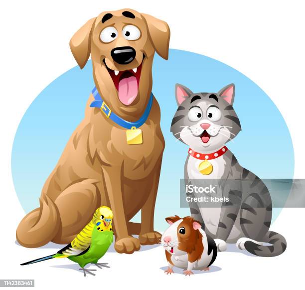 Pets Cat Dog Budgie And Guinea Pig Stock Illustration - Download Image Now - Pets, Dog, Domestic Cat