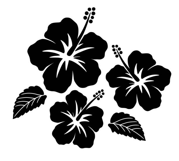 набор значков гибискуса - tropical flower stock illustrations