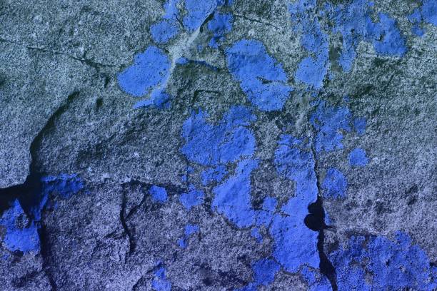 istock blue creative rough lichen on stone texture - pretty abstract photo background 1142386735