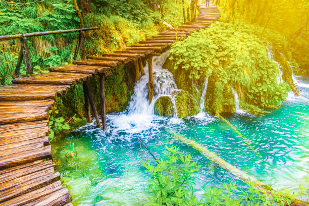 istock Tourist path in Plitvice lakes 1142389206