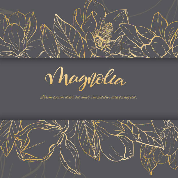 線形マグノリアの花をスケッチします。 - wedding invitation old fashioned wedding retro revival点のイラスト素材／クリップアート素材／マンガ素材／アイコン素材