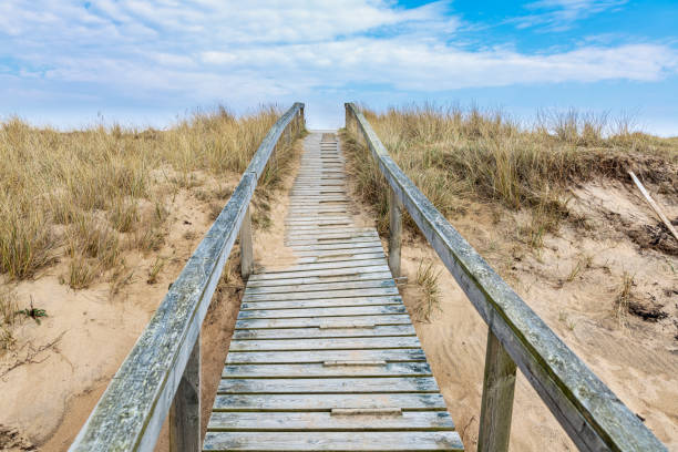 Foothpath trough a landscape of sand dunes