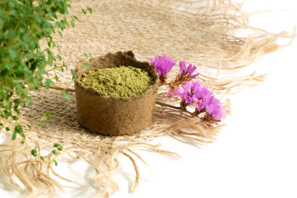 istock henna powder for dyeing hair and eyebrows and drawing mehendi on hands, isolate with green palm leaf 1142391632