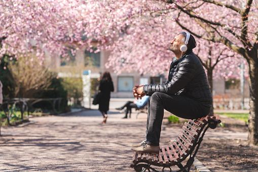 A mature man is sitting on a park bench in a public park. He is enjoying the sun and listening to music, surrounded by blooming cherry blossom.