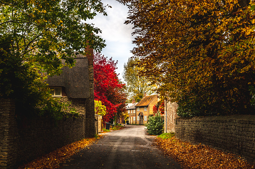 Empty roadway among stone fences of rural stone houses among lush colorful trees in autumn, Oxford, United Kingdom