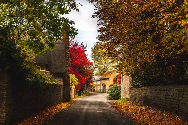 Road in beautiful countryside with cottages Empty roadway among stone fences of rural stone houses among lush colorful trees in autumn, Oxford, United Kingdom house uk countryside stock pictures, royalty-free photos & images