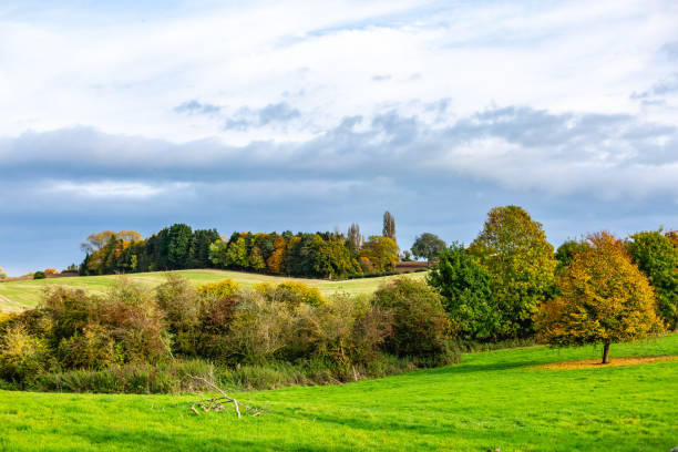 istock Green countryside field in cloudy day 1142393465