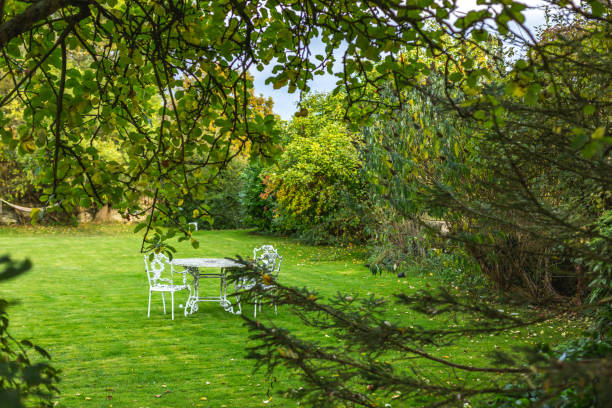 istock Garden table on green yard 1142393468