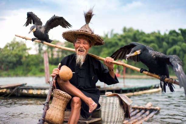 Cormorant fisherman on a bamboo rafts on Li river in Yangshuo near Guilin in China Yangshuo, China - July 27, 2018: Traditional cormorant fisherman on a bamboo rafts on Li river in Yangshuo near Guilin in China yangshuo stock pictures, royalty-free photos & images
