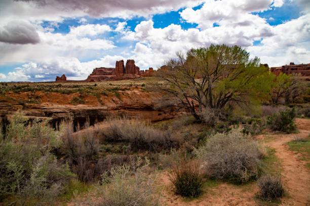 istock Arches National Park in Utah 1142395798
