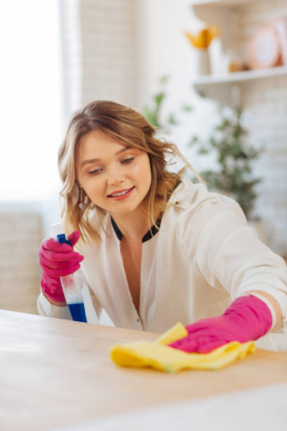 istock Pleasant young woman cleaning a counter surface 1142397123