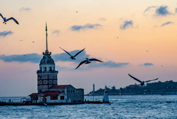 istock Maiden`s tower. Landscape, night.Istanbul 1142397180