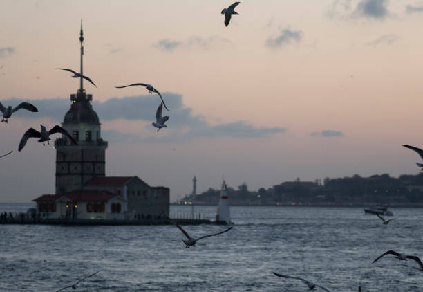 istock Maiden`s tower. Landscape, night.Istanbul 1142397182