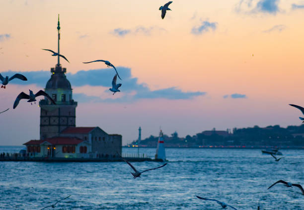 istock Maiden`s tower. Landscape, night.Istanbul 1142397192