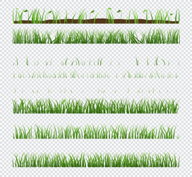 bildbanksillustrationer, clip art samt tecknat material och ikoner med uppsättning av element grönt gräs med växter isolerade på transparent bakgrund. - ukraine grass