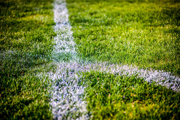 istock Grass at the football stadium 1142402355