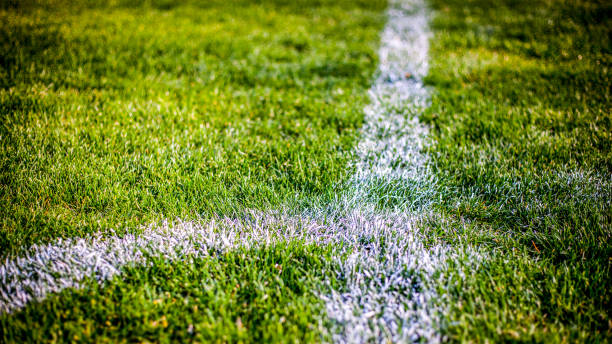 istock Grass at the football stadium 1142402368