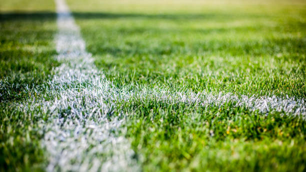 istock Grass at the football stadium 1142402390