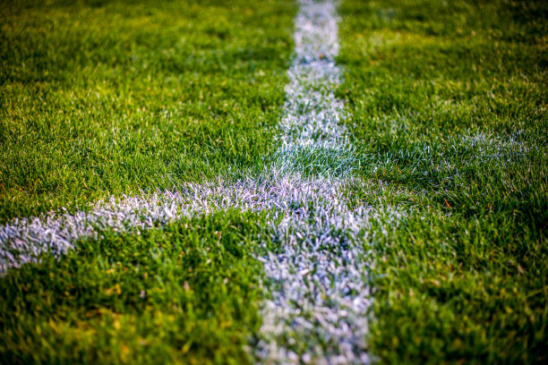 istock Grass at the football stadium 1142402442