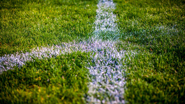 istock Grass at the football stadium 1142402443