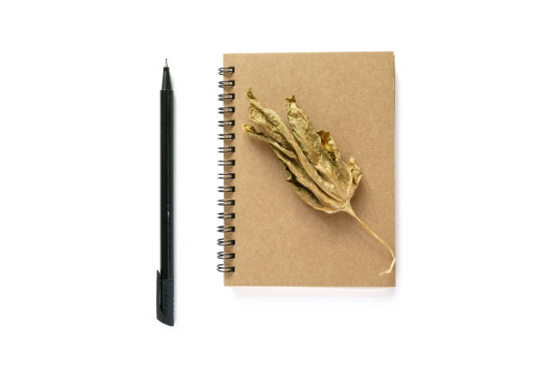 notatek, suchy liść i długopis - dry leaves audio zdjęcia i obrazy z banku zdjęć