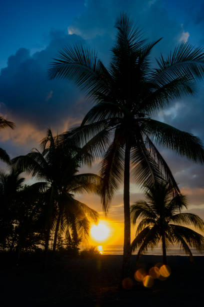 istock Sunrise at the beach 1142404787