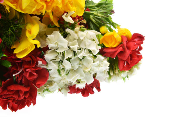 bouquet of flowers on white background