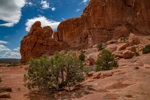 istock Arches National Park in Utah 1142405833