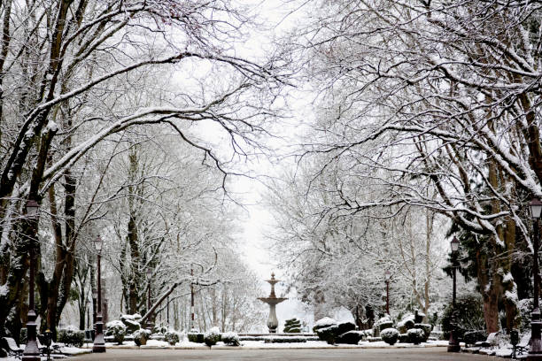 Lugo city public park covered with snow. Beautiful tall trees, old ornamental fountain in the background. Galicia, Spain.
