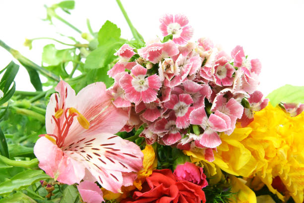 bouquet of flowers on background