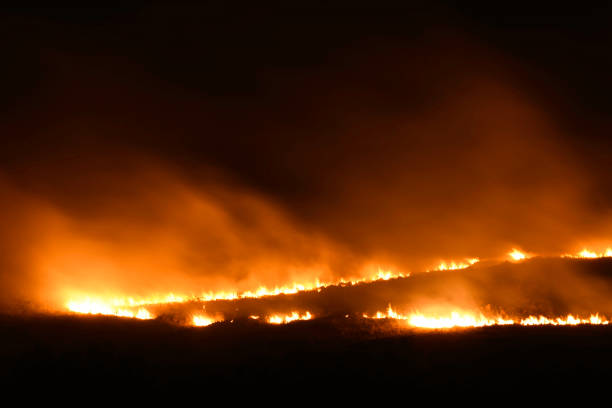 istock Running Wildfire Burning In Field With Smoke 1142407245
