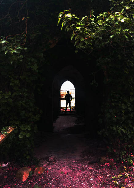 istock Magical doorway silhouette 1142407467