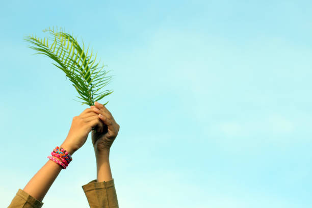 Palm Sunday stock photo